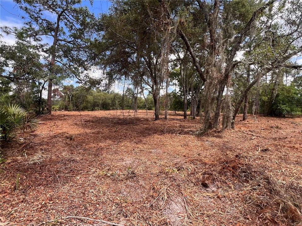 For Sale: $47,900 (1.00 acres)