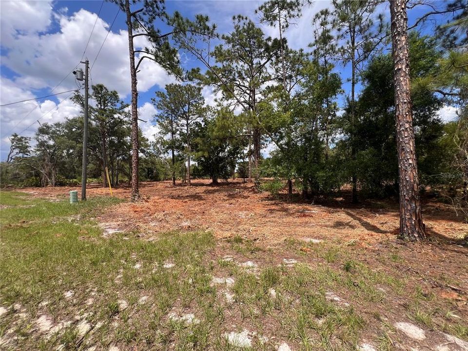 For Sale: $47,900 (1.00 acres)