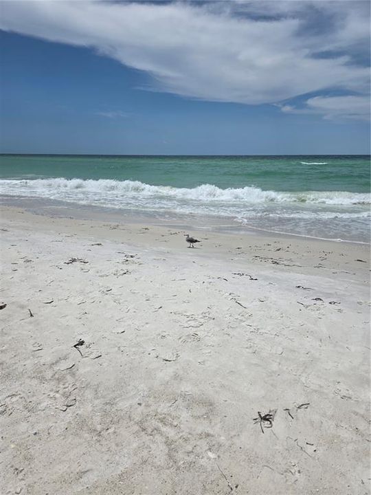 Active With Contract: $77,900 (1 beds, 1 baths, 540 Square Feet)