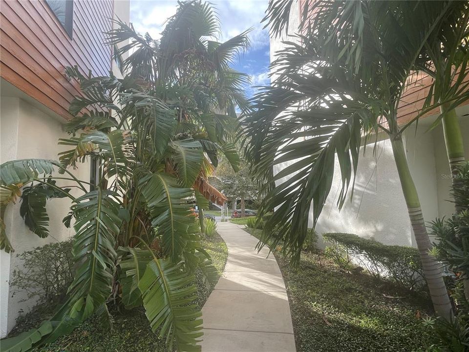 Active With Contract: $4,950 (3 beds, 3 baths, 2982 Square Feet)
