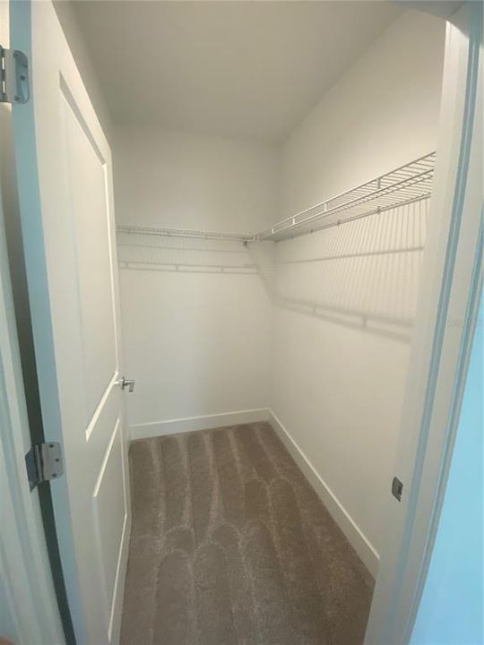 Active With Contract: $4,950 (3 beds, 3 baths, 2982 Square Feet)