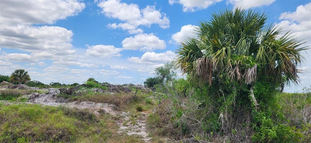 For Sale: $22,790 (1.25 acres)