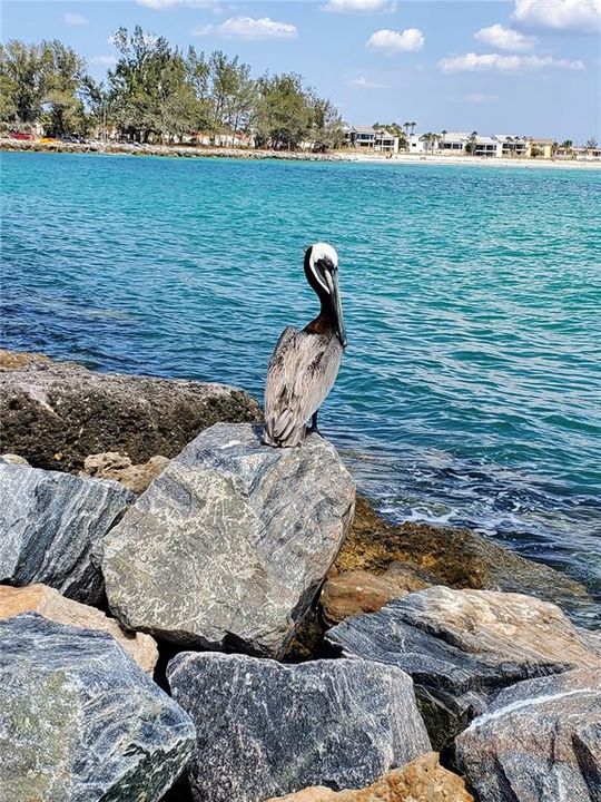 Под контрактом: $35,000 (0.23 acres)