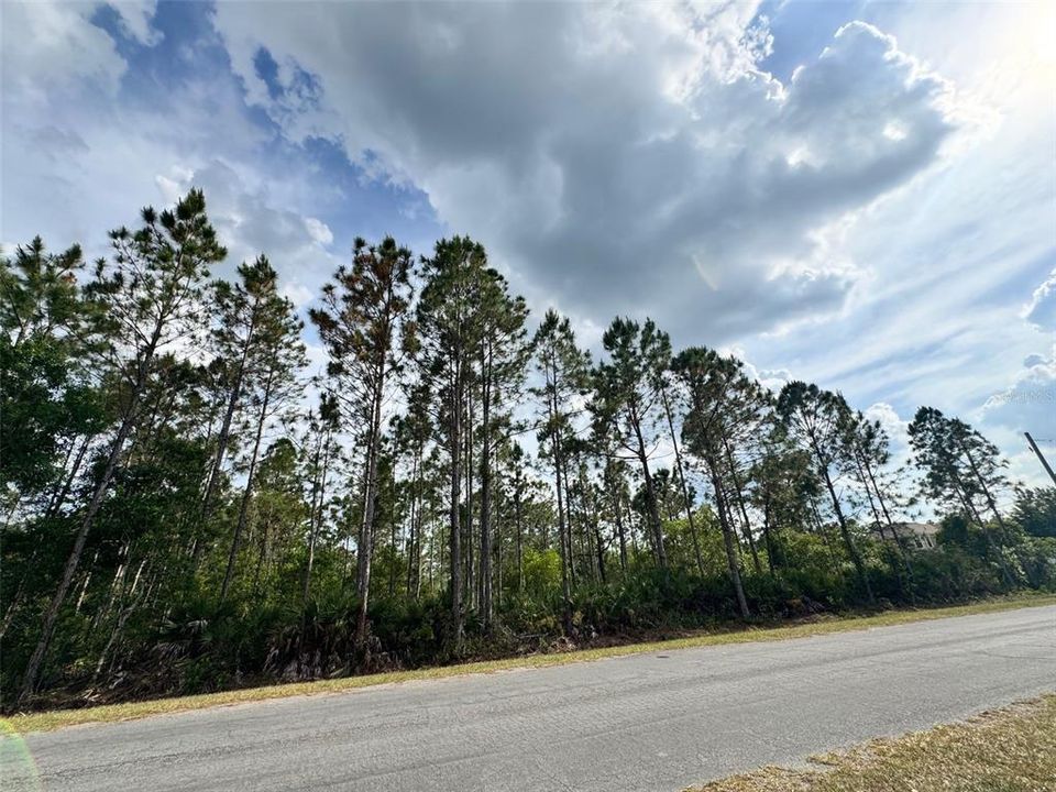 Active With Contract: $185,000 (1.06 acres)