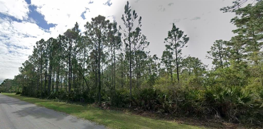 Active With Contract: $185,000 (1.06 acres)