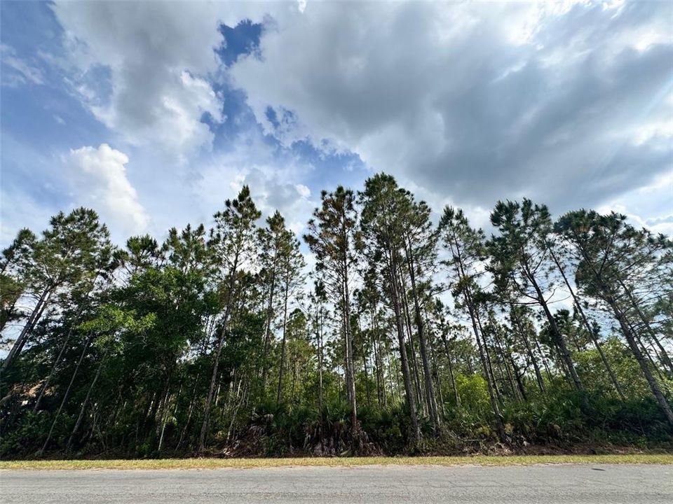 Active With Contract: $185,000 (1.06 acres)