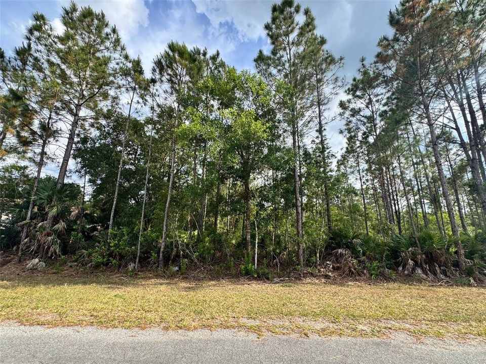 Active With Contract: $185,000 (1.06 acres)