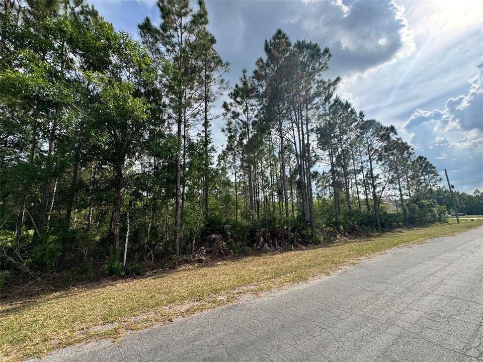 Active With Contract: $185,000 (1.06 acres)