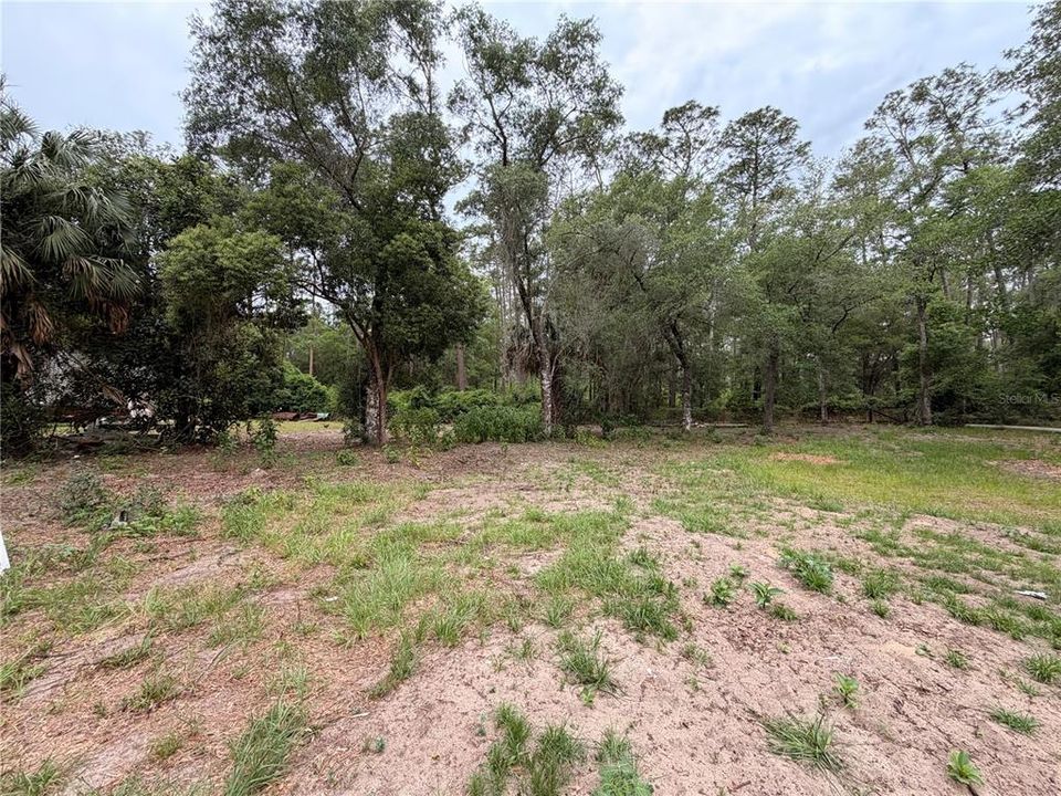 For Sale: $89,000 (1.77 acres)