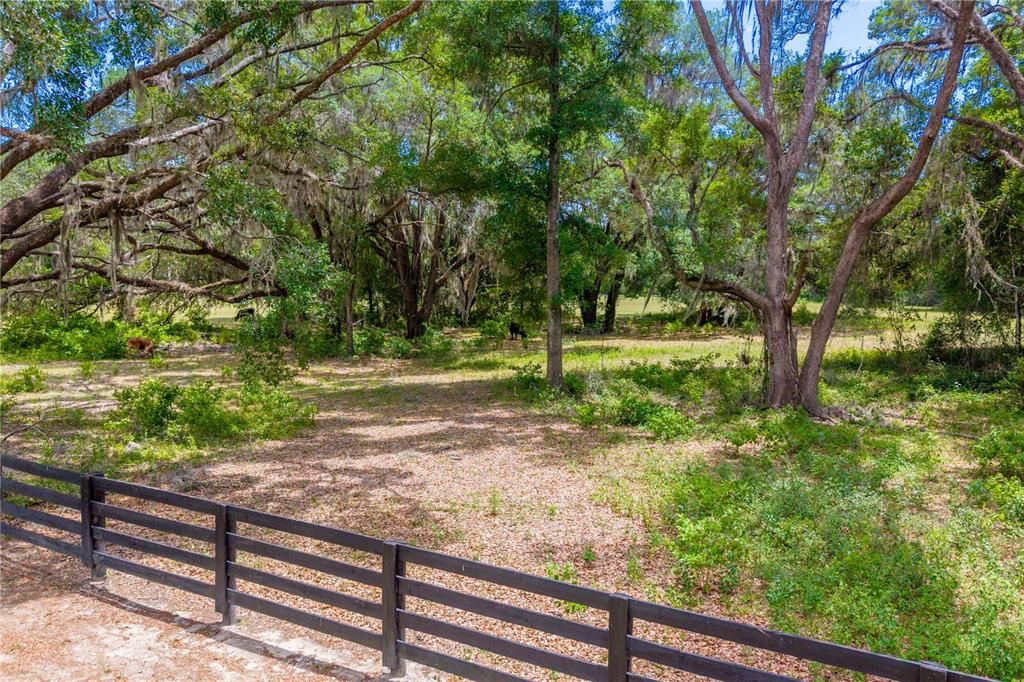 На продажу: $1,250,000 (25.02 acres)