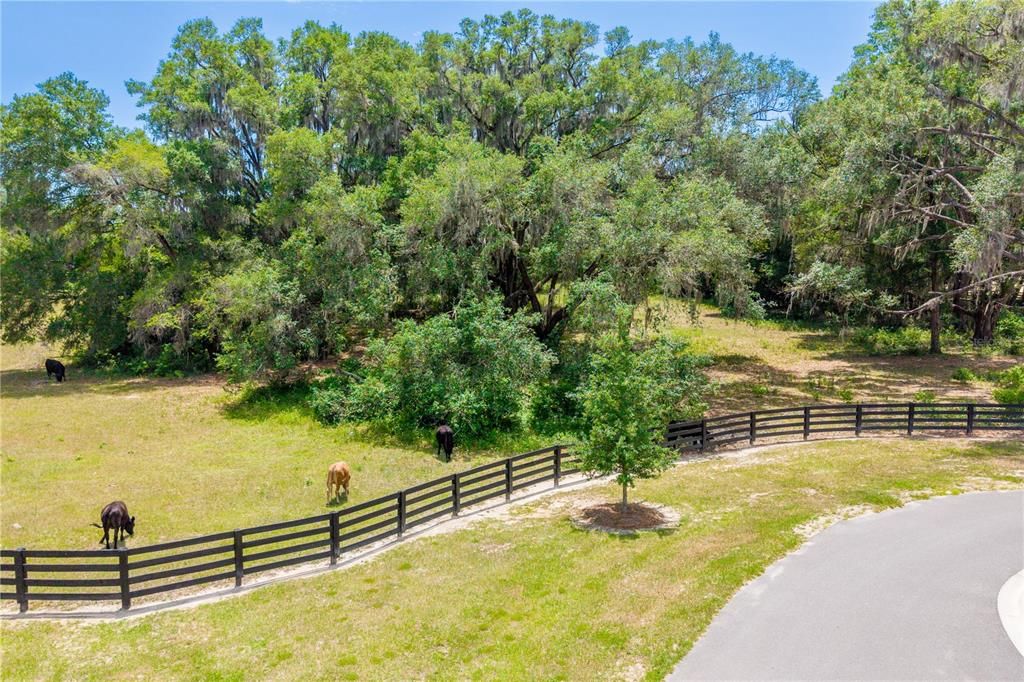 На продажу: $1,250,000 (25.02 acres)