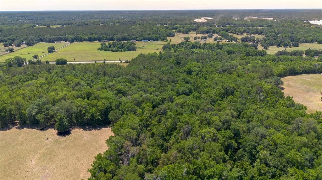 For Sale: $2,250,000 (60.00 acres)