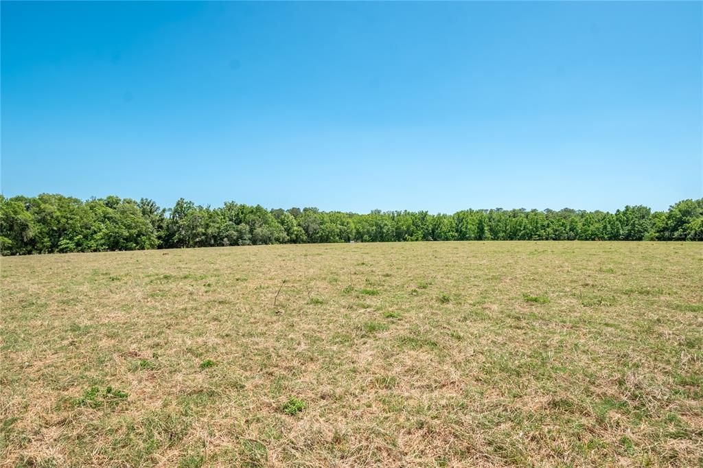For Sale: $2,250,000 (60.00 acres)