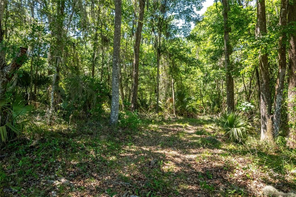 For Sale: $2,250,000 (60.00 acres)