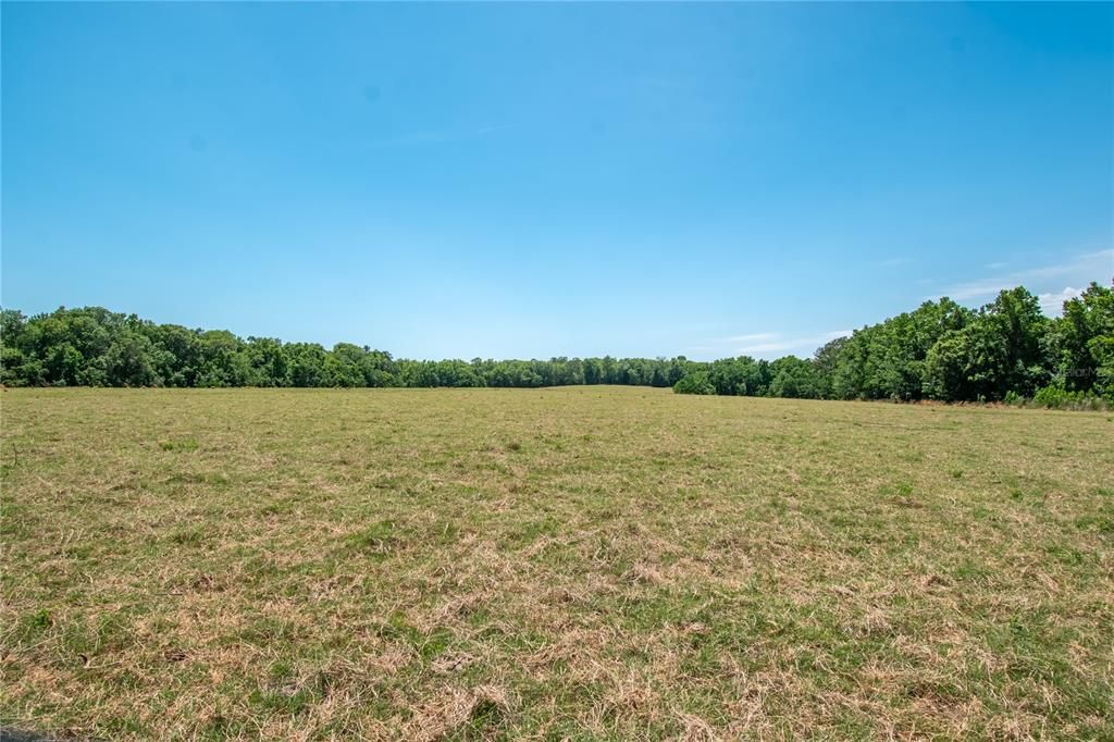 For Sale: $2,250,000 (60.00 acres)