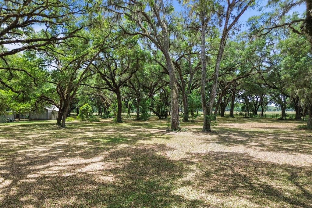 For Sale: $897,500 (3 beds, 2 baths, 1584 Square Feet)