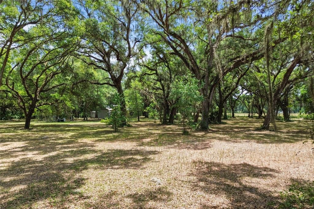 For Sale: $897,500 (3 beds, 2 baths, 1584 Square Feet)
