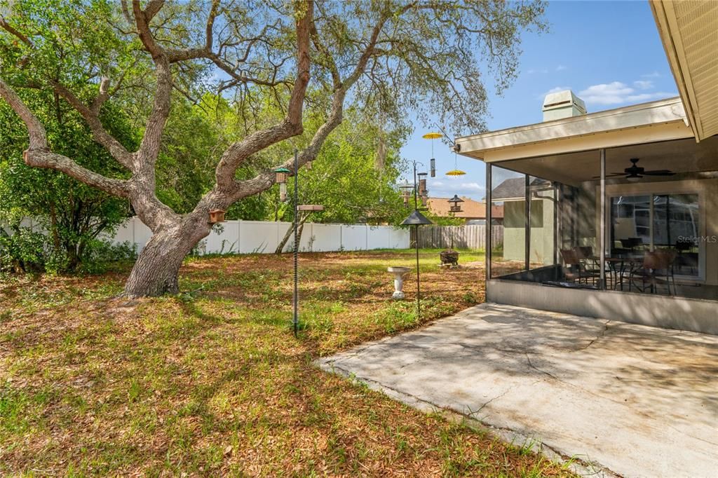 Activo con contrato: $299,500 (3 camas, 2 baños, 1594 Pies cuadrados)