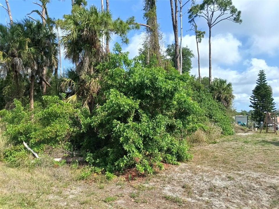 待售: $29,000 (0.23 acres)