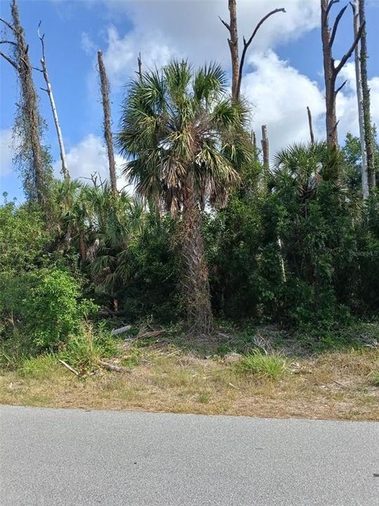 待售: $29,000 (0.23 acres)
