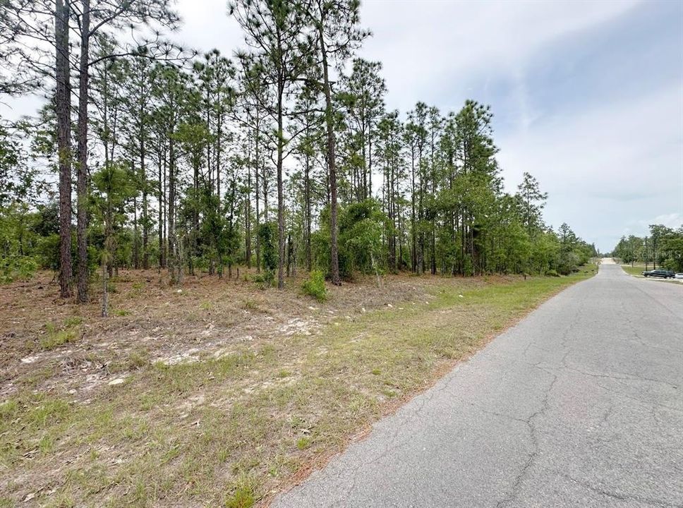 待售: $24,500 (0.23 acres)