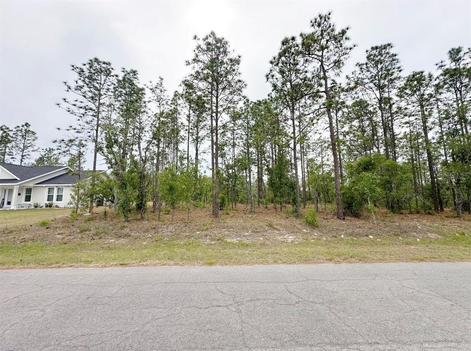 待售: $24,500 (0.23 acres)