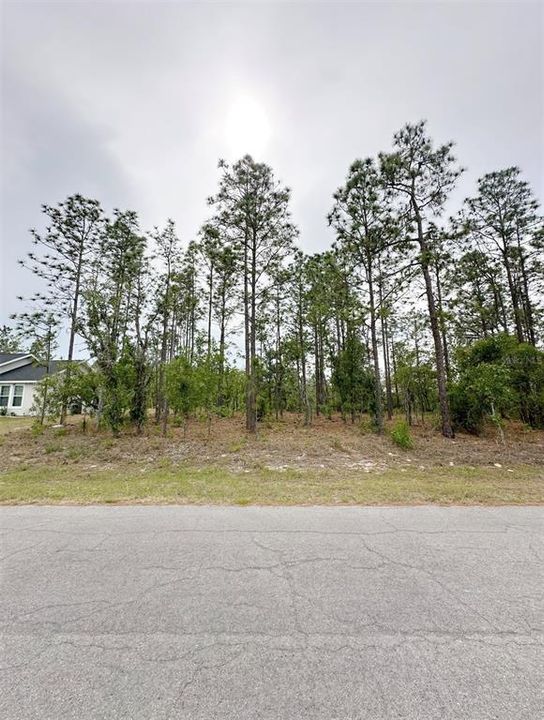 待售: $24,500 (0.23 acres)