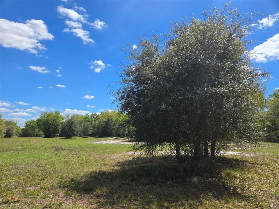 En Venta: $600,000 (20.00 acres)