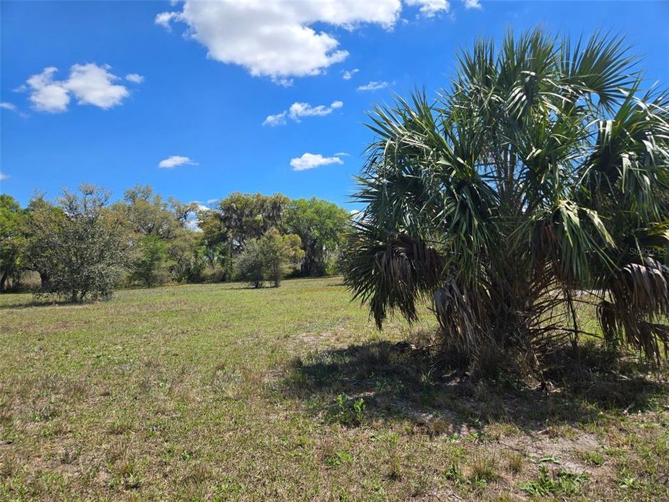 En Venta: $600,000 (20.00 acres)