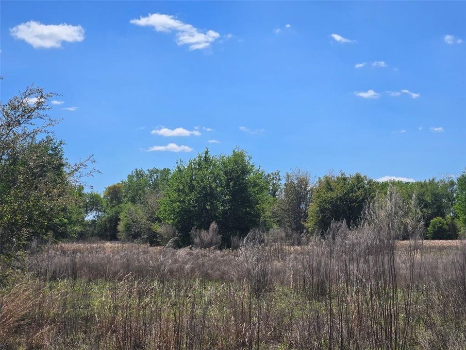 En Venta: $600,000 (20.00 acres)