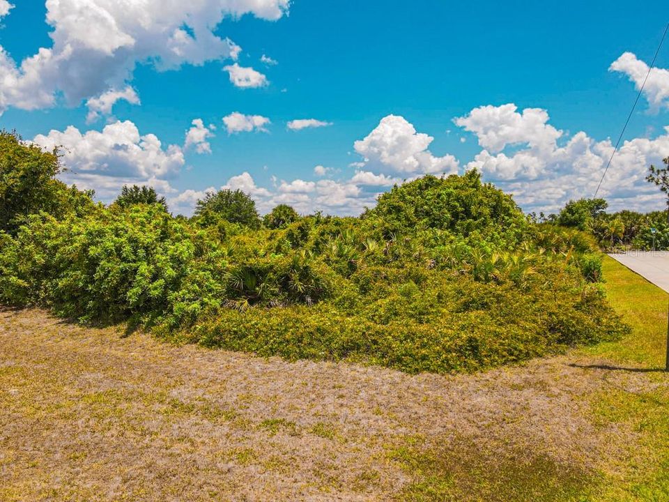 For Sale: $55,000 (0.33 acres)