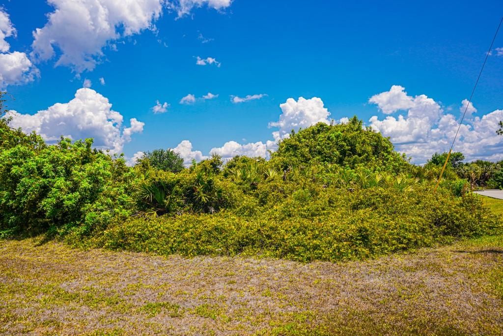 For Sale: $55,000 (0.33 acres)