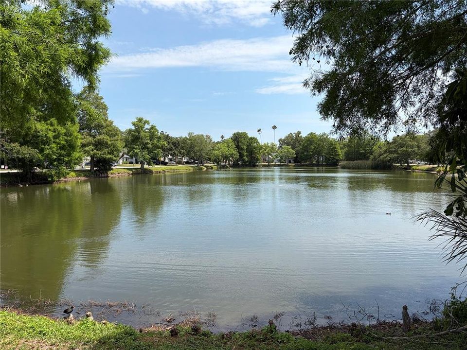 Activo con contrato: $325,000 (0.20 acres)