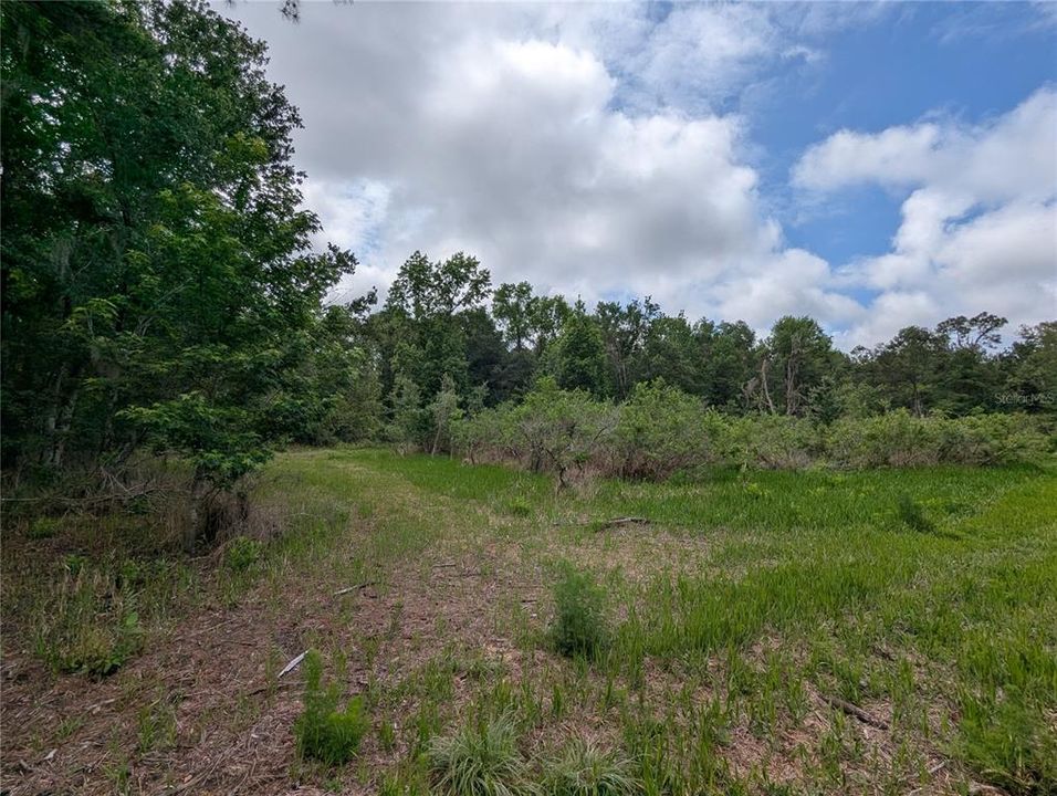 En Venta: $729,000 (83.59 acres)