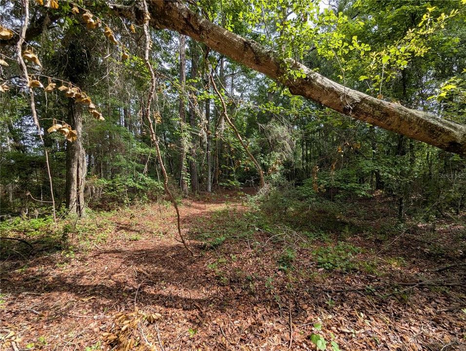 En Venta: $729,000 (83.59 acres)