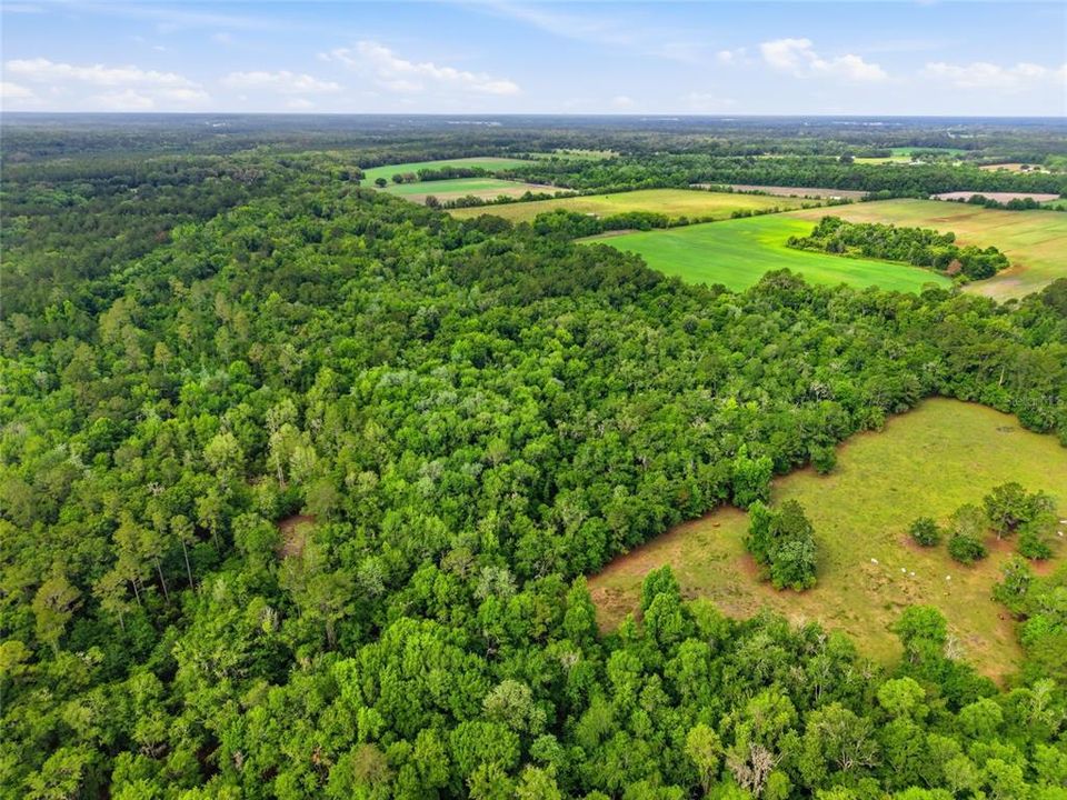 En Venta: $729,000 (83.59 acres)
