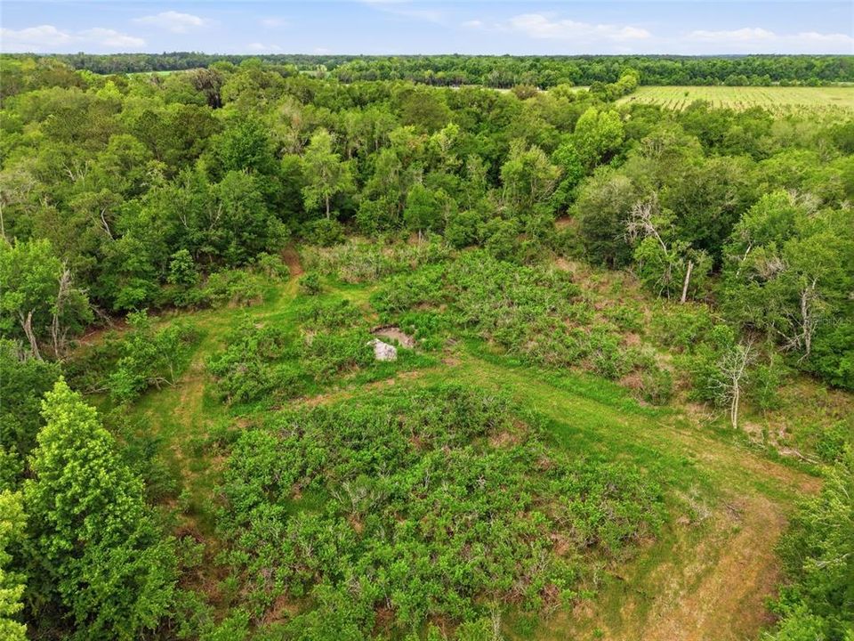 En Venta: $729,000 (83.59 acres)