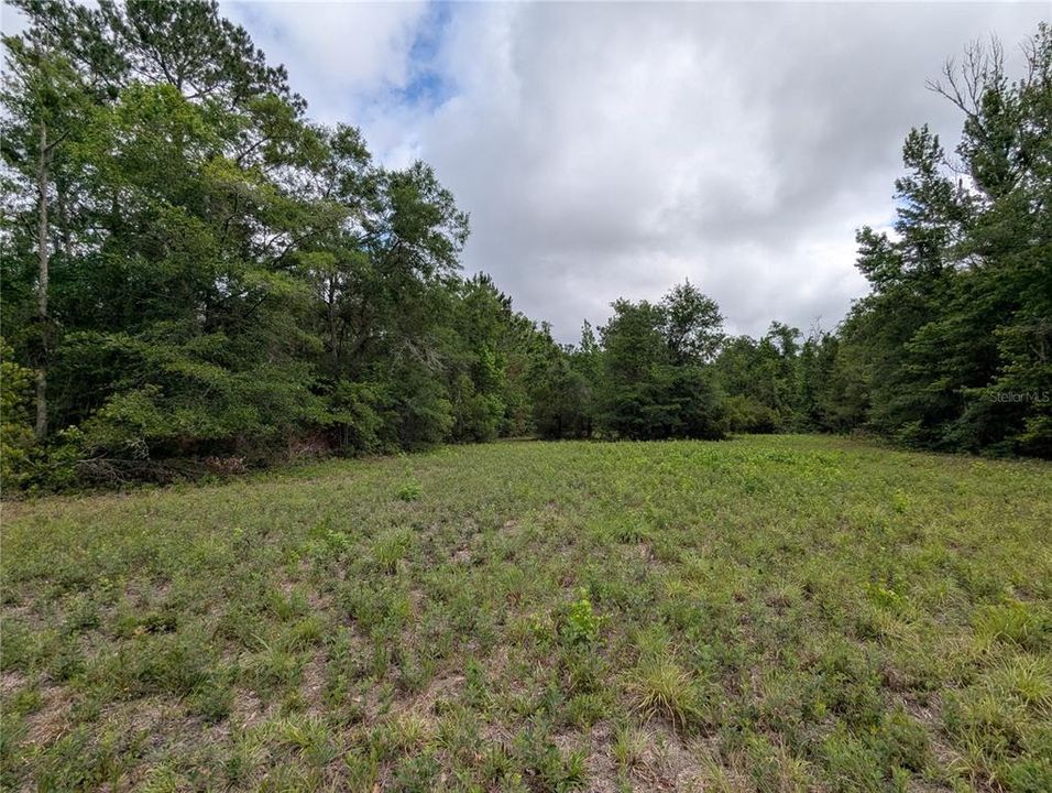 En Venta: $729,000 (83.59 acres)
