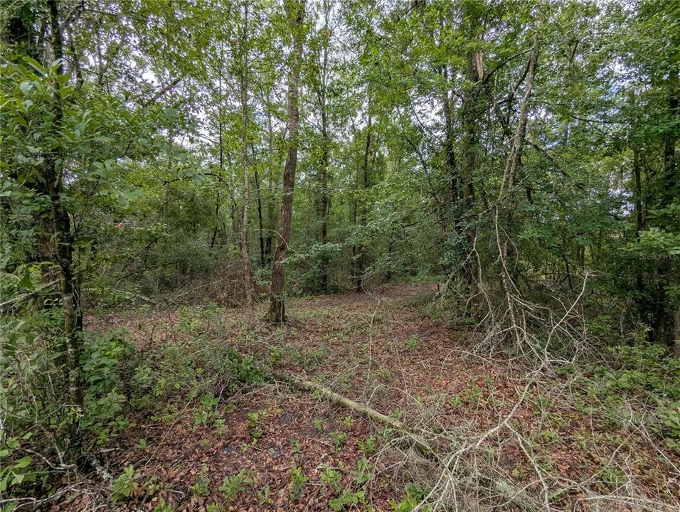 En Venta: $729,000 (83.59 acres)