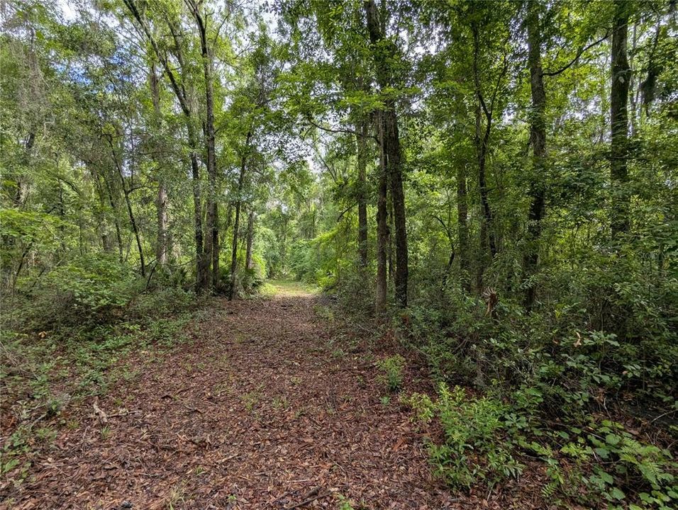 En Venta: $729,000 (83.59 acres)