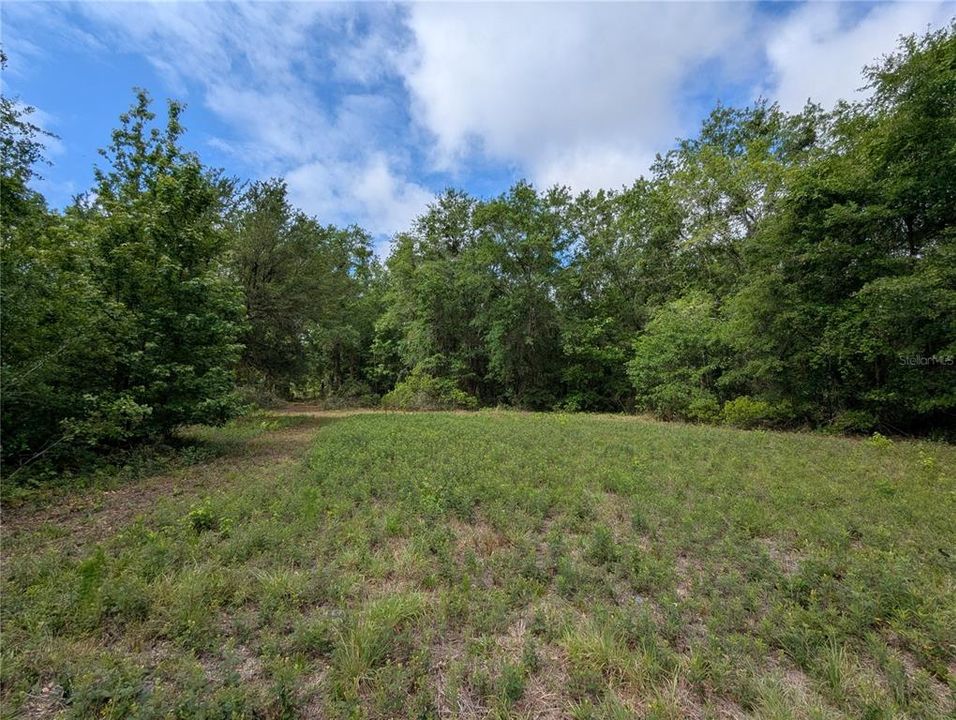 En Venta: $729,000 (83.59 acres)