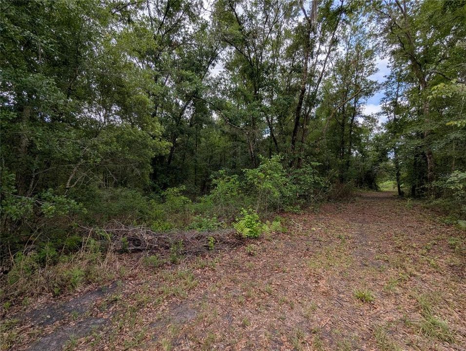En Venta: $729,000 (83.59 acres)