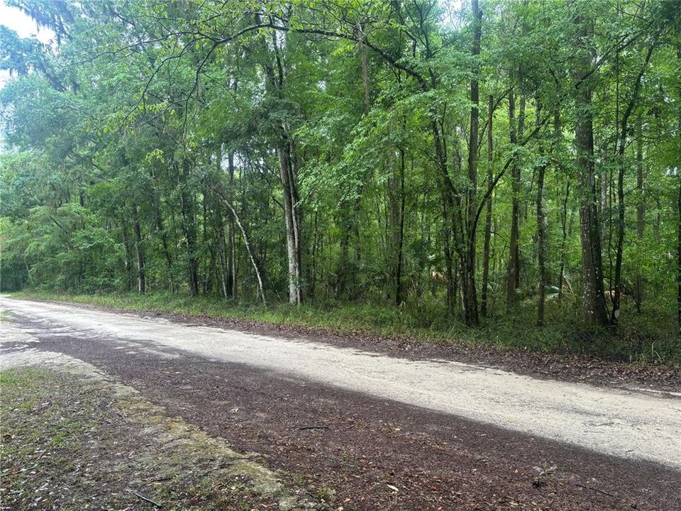 待售: $45,000 (0.70 acres)