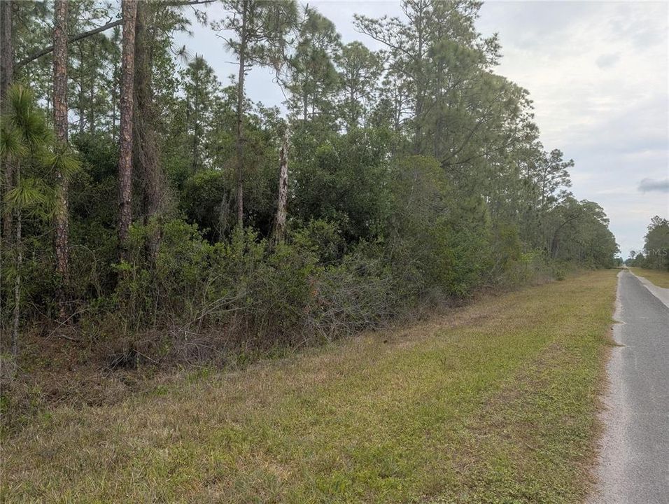 En Venta: $15,000 (0.50 acres)