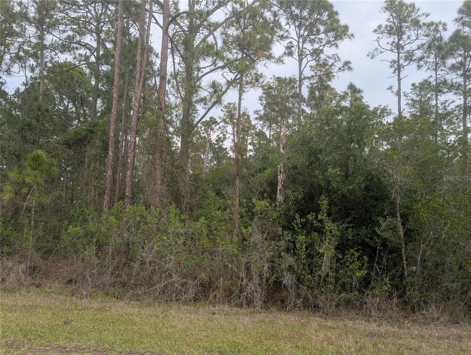 En Venta: $15,000 (0.50 acres)