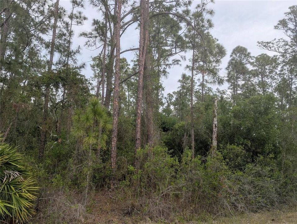 En Venta: $15,000 (0.50 acres)