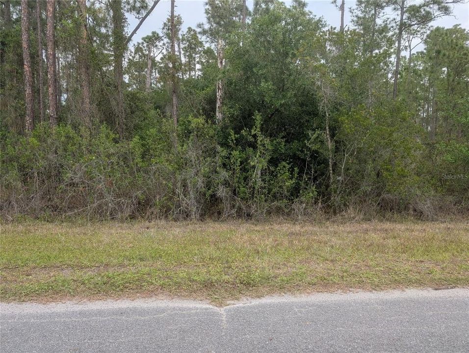 En Venta: $15,000 (0.50 acres)