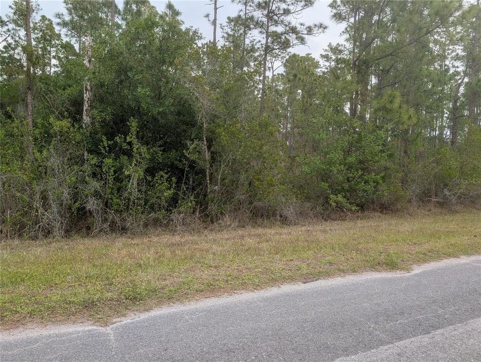 En Venta: $15,000 (0.50 acres)
