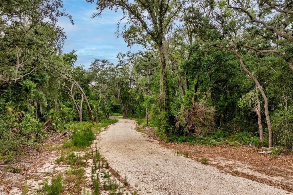 На продажу: $250,000 (3.43 acres)