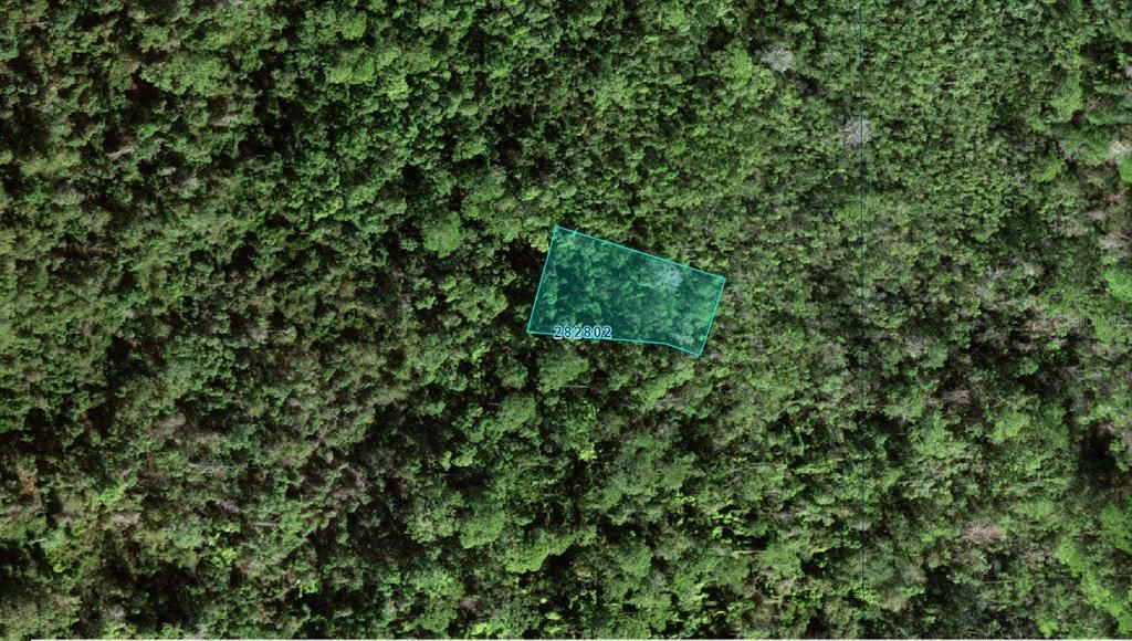 На продажу: $26,000 (0.25 acres)